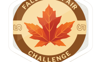 Fall Fresh Air Challenge Begins Today